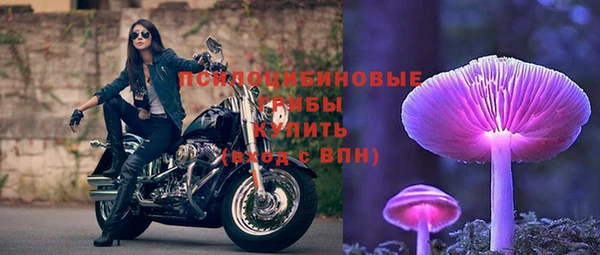 spice Баксан