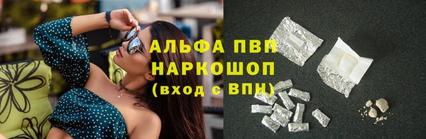 spice Баксан