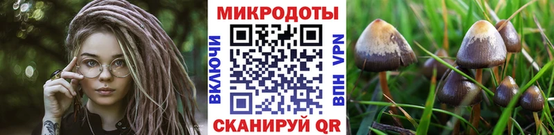 Псилоцибиновые грибы ЛСД Сегежа