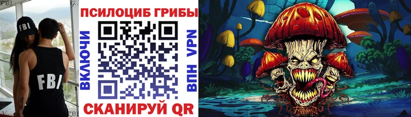 купить   Сегежа  Галлюциногенные грибы Psilocybe 